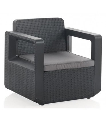 SET GRAFITO "VENUS TETE"