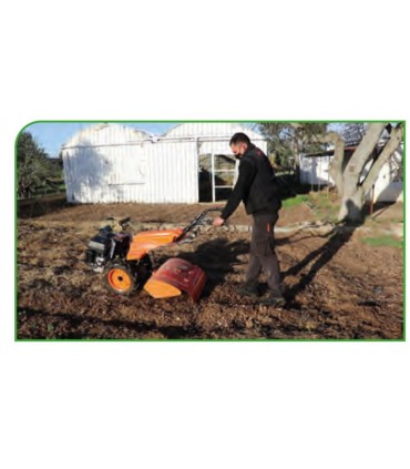 MOTOCULTOR "9CV" 901 ZEPPELIN