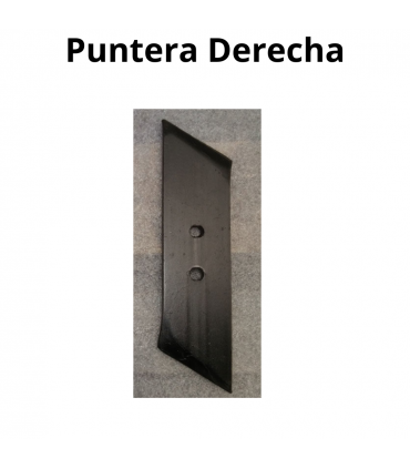 PUNTERA
