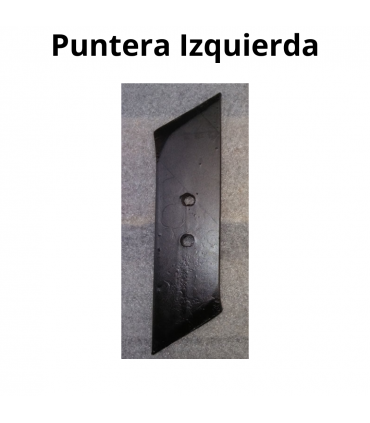 PUNTERA