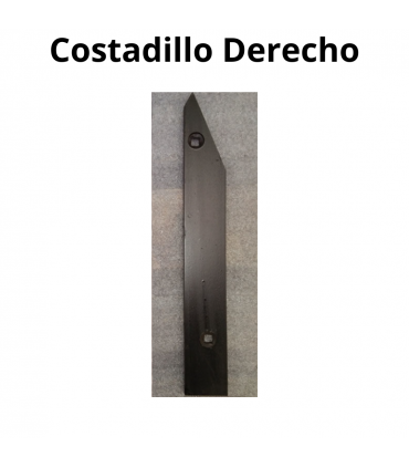 COSTADILLO (CULATO)