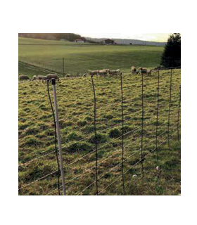 BERGERNET PARA OVEJAS