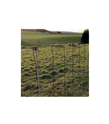 BERGERNET PARA OVEJAS