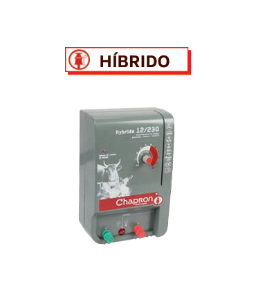 HÍBRIDO