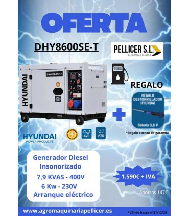 INSONORIZADO HYUNDAI 400V (7,9 KVA)