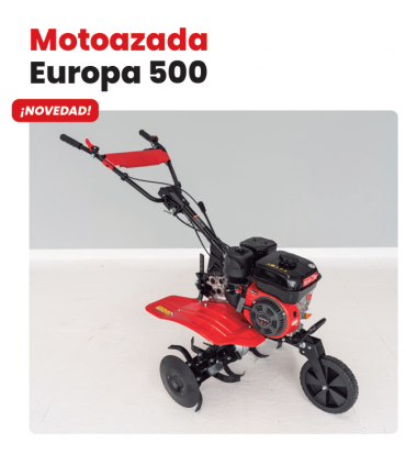 MOTOAZADA 6,5 CV ROTECO