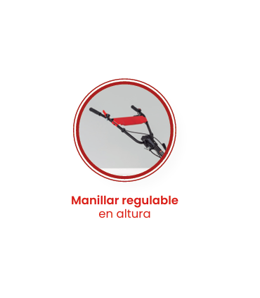 MOTOAZADA 6,5 CV ROTECO