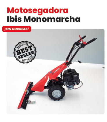 MOTOSEGADORA IBIS ROTECO