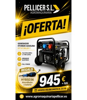 GENERADOR HYUNDAI HY10100LEK-T 400V (10´6 KVA)