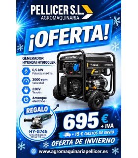GENERADOR HYUNDAI HY9100LEK 230V (6,5 KW)