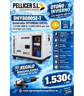 INSONORIZADO HYUNDAI 400V (7,9 KVA)
