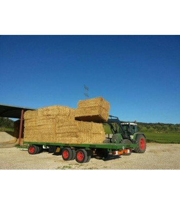 PLATAFORMA DE 3 EJES CON GIRATORIA