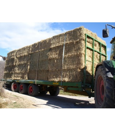 PLATAFORMAS AGRÍCOLAS TRIDEM