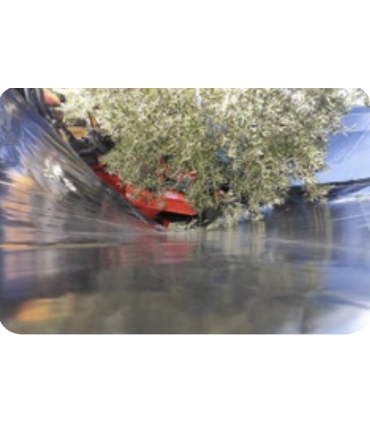 PARAGUAS RECOLECTOR DE ACEITUNA - TORPEDO