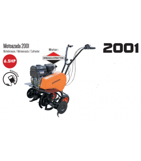 MOTOAZADAS "6,5CV" ZEPPELIN 2001