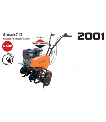 MOTOAZADAS "6,5CV" ZEPPELIN 2001