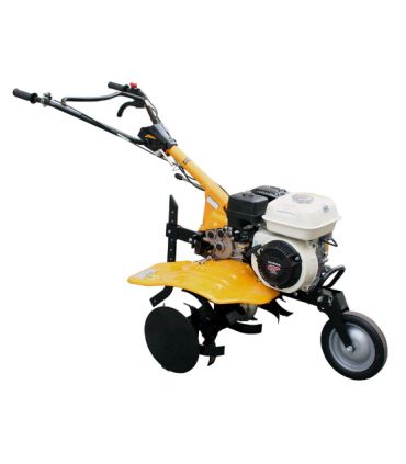 MOTOAZADA "5,6CV" AYERBE 180 H