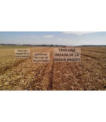 GRADA RÁPIDA BAGÜES