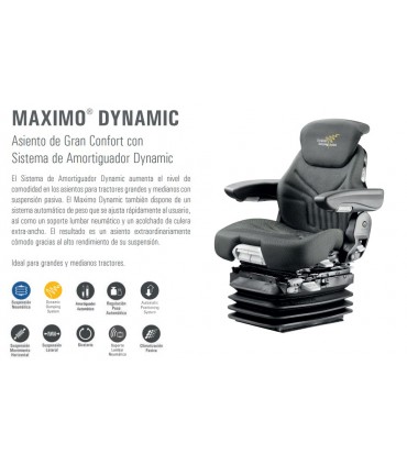 MAXIMO DYNAMIC