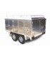 TRANSPORTE ANIMALES MONTERÍA