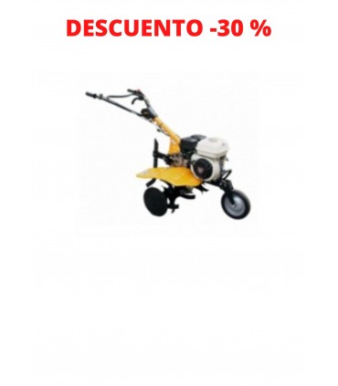 MOTOAZADA "5,6CV" AYERBE 180 H